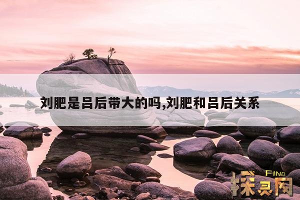 刘肥是吕后带大的吗？,吕后和刘肥