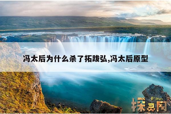 冯太后为什么杀了拓跋弘,冯太后原型