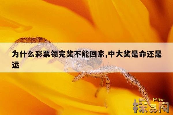 为什么彩票领完奖不能回家,中大奖是命还是运
