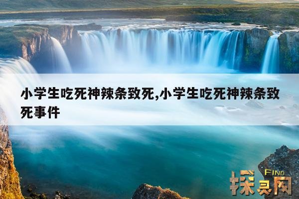 小学生吃死神辣条致死,小学生吃死神辣条致死事件