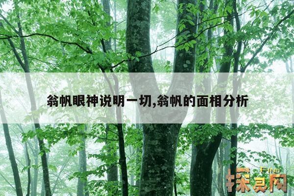 翁帆眼神说明一切,翁帆的面相分析