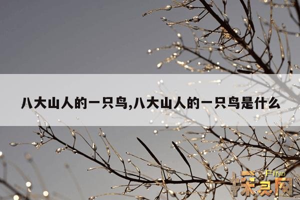 八大山人的一只鸟,八大山人的一只鸟是什么