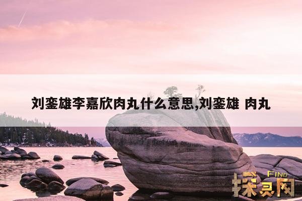 刘銮雄李嘉欣肉丸什么意思,刘銮雄 肉丸