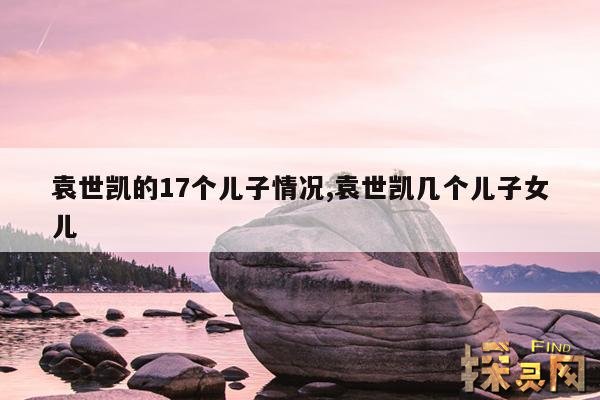 袁世凯的17个儿子情况,袁世凯几个儿子女儿