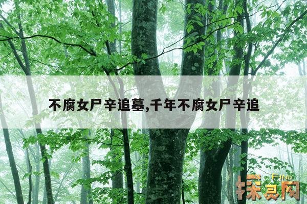 不腐女尸辛追墓,千年不腐女尸辛追