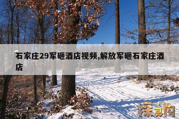 石家庄29军砸酒店视频,解放军砸石家庄酒店