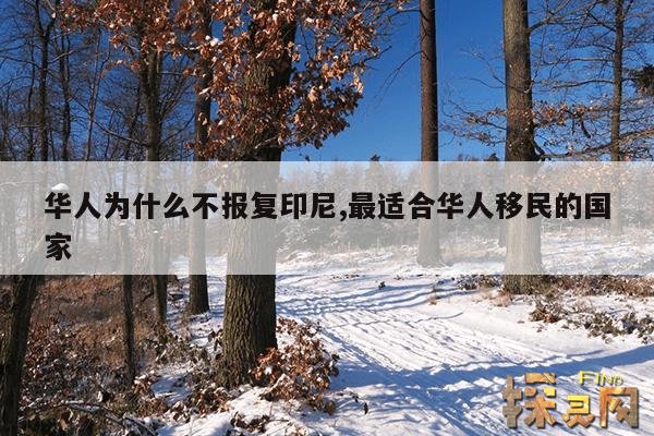 华人为什么不报复印尼,最适合华人移民的国家