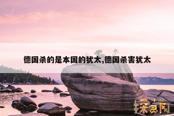 德国杀的是本国的犹太,德国杀害犹太