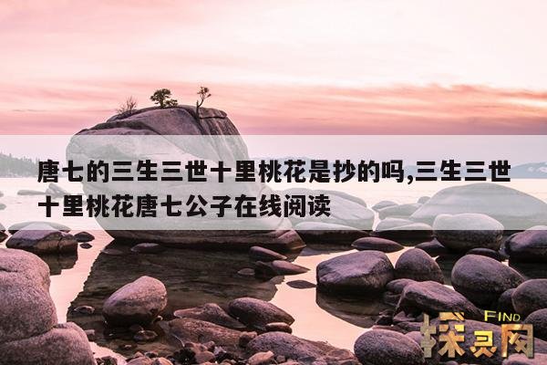 唐七的三生三世十里桃花是抄的吗?,《三生三世,十里桃花》 作者:唐七公子