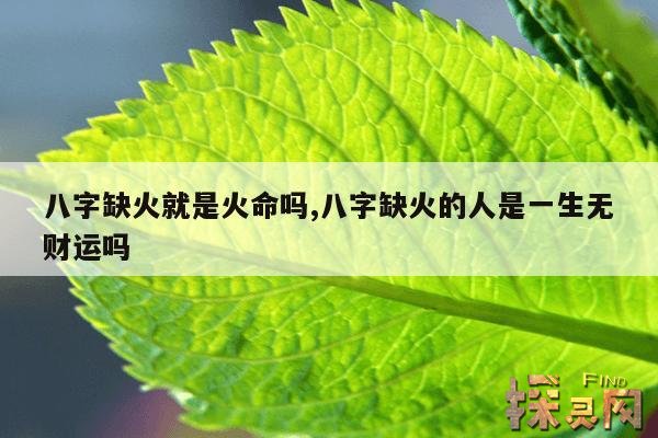 八字缺火就是火命吗,八字缺火的人是一生无财运吗