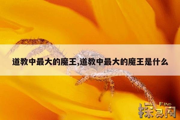 道教中最大的魔王,道教中最大的魔王是什么