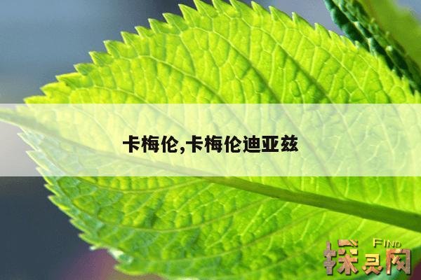 卡梅伦,卡梅伦迪亚兹