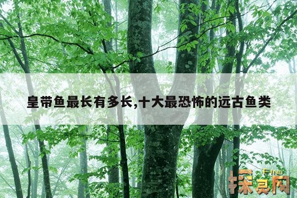 皇带鱼最长有多长,十大最恐怖的远古鱼类