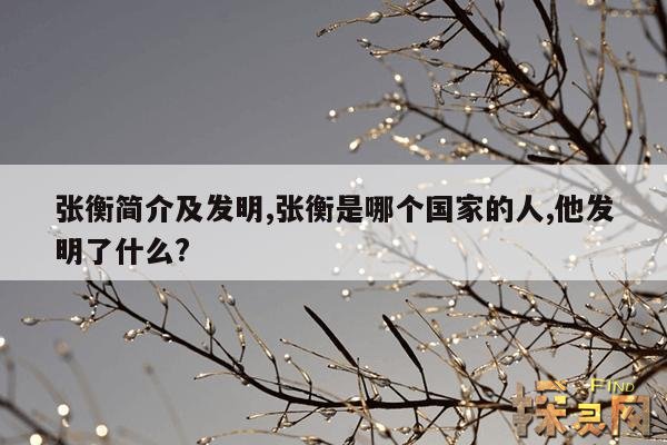 张衡简介及发明,张衡是哪个国家的人,他发明了什么?