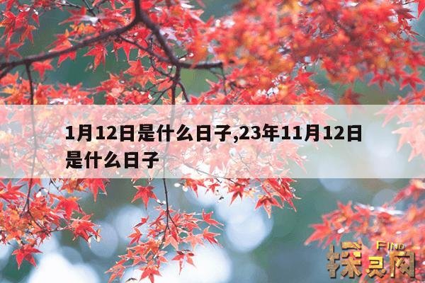 1月12日是什么日子,23年11月12日是什么日子