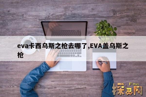 eva卡西乌斯之枪去哪了,EVA盖乌斯之枪