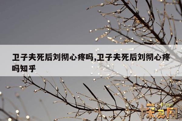 卫子夫死后刘彻心疼吗,卫子夫死后刘彻心疼吗知乎