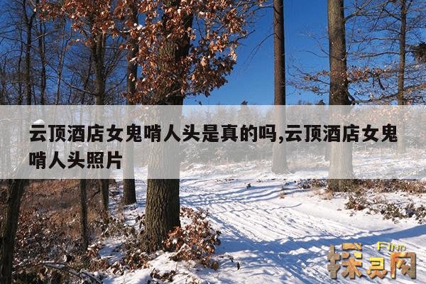 云顶酒店女鬼啃人头是真的吗?,云顶闹鬼酒店