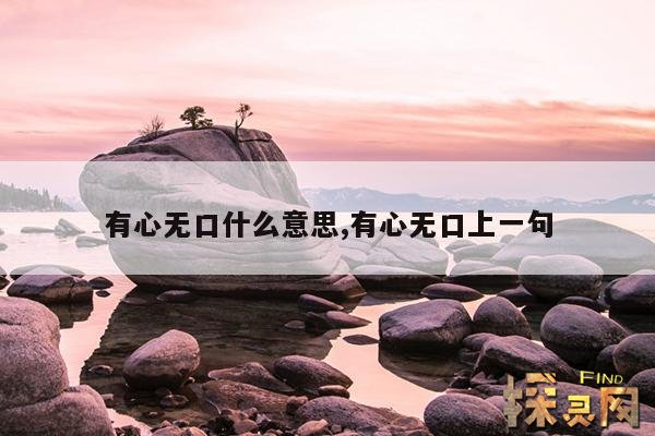 有心无口什么意思,有心无口上一句