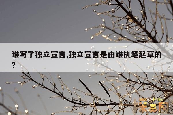谁写了独立宣言,独立宣言是由谁执笔起草的?