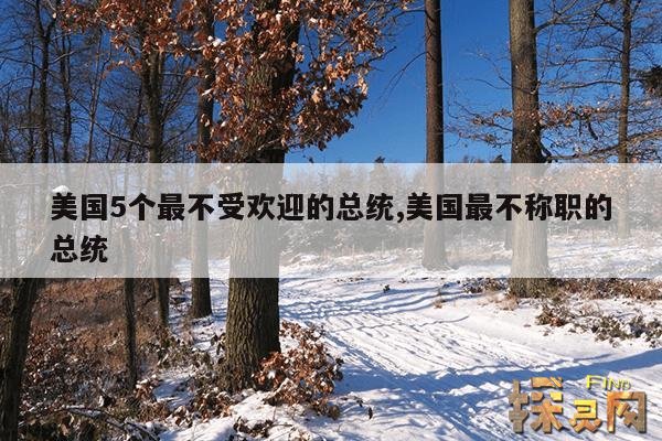 美国5个最不受欢迎的总统,美国最不称职的总统