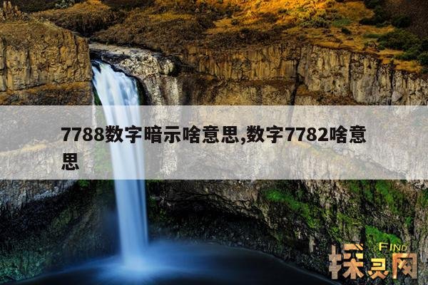 7788数字暗示啥意思,数字7782啥意思