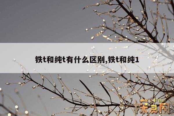 铁t和纯t有什么区别,铁t和纯1