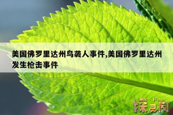 美国佛罗里达州鸟袭人事件,美国佛罗里达州发生枪击事件