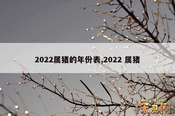2022属猪的年份表,2022 属猪
