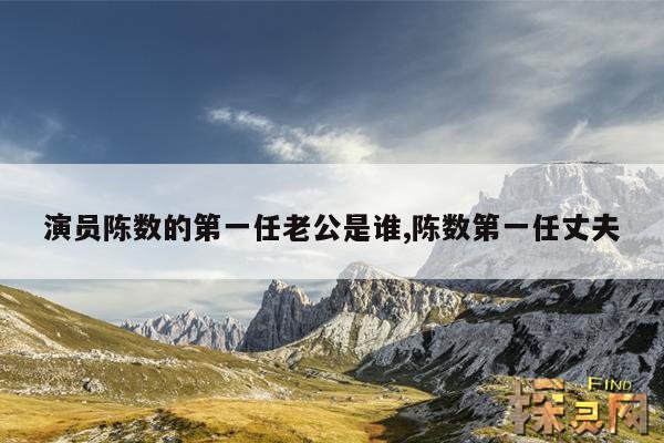 演员陈数的第一任老公是谁,陈数第一任丈夫