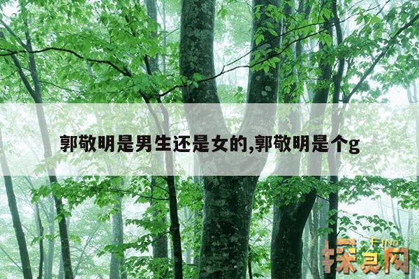 郭敬明是男生还是女的,郭敬明是男的吗?