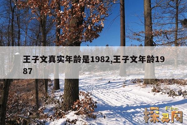 王子文真实年龄是1982,王子文年龄1987
