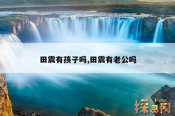 田震有孩子吗,田震有老公吗
