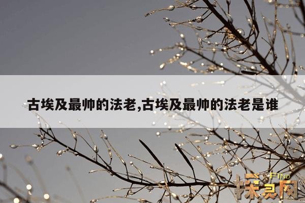 古埃及最帅的法老,古埃及最帅的法老是谁