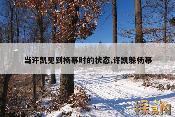 当许凯见到杨幂时的状态,许凯躲杨幂