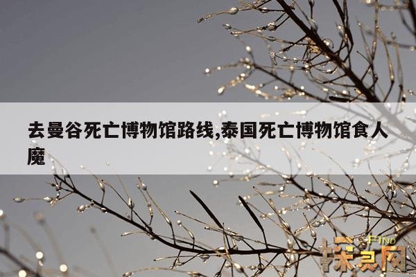 去曼谷死亡博物馆路线,泰国死亡博物馆食人魔