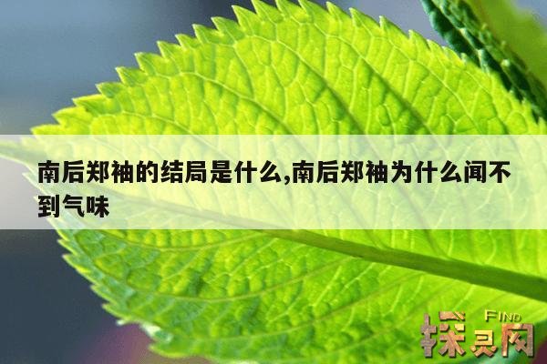 南后郑袖的结局是什么,南后郑袖为什么闻不到气味