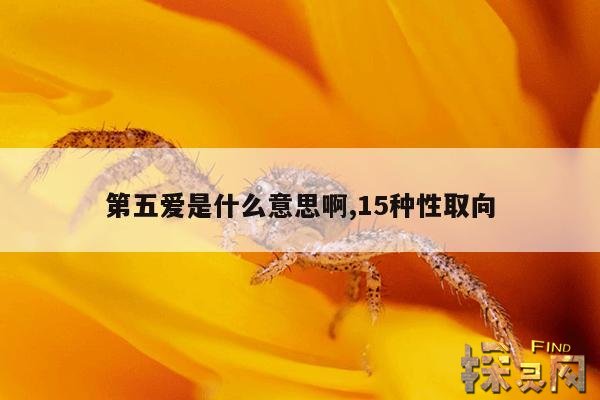 第五爱是什么意思啊,15种性取向