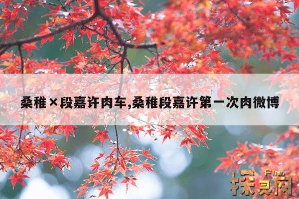 桑稚×段嘉许肉车,桑稚段嘉许第一次肉微博