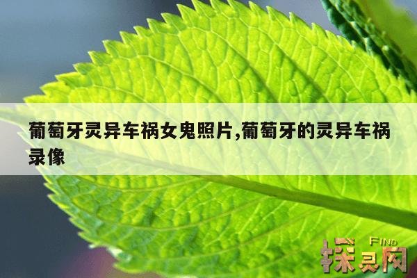 葡萄牙灵异车祸女鬼照片,葡萄牙的灵异车祸录像