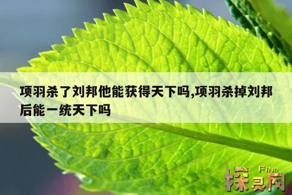 项羽杀了刘邦他能获得天下吗,项羽杀掉刘邦后能一统天下吗