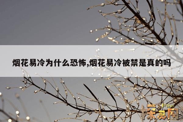 烟花易冷为什么恐怖,烟花易冷被禁是真的吗