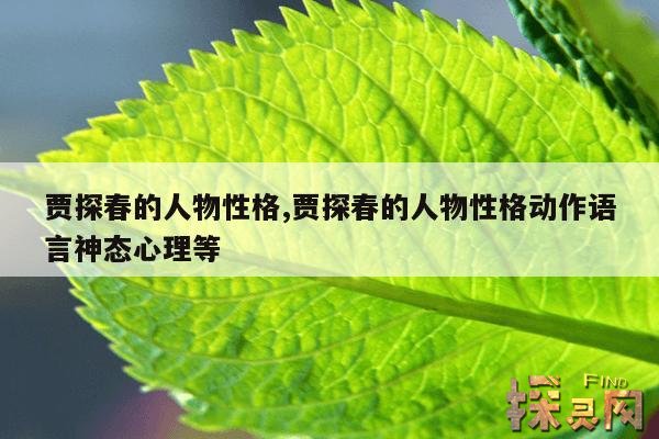 贾探春的人物性格,贾探春的人物性格动作语言神态心理等