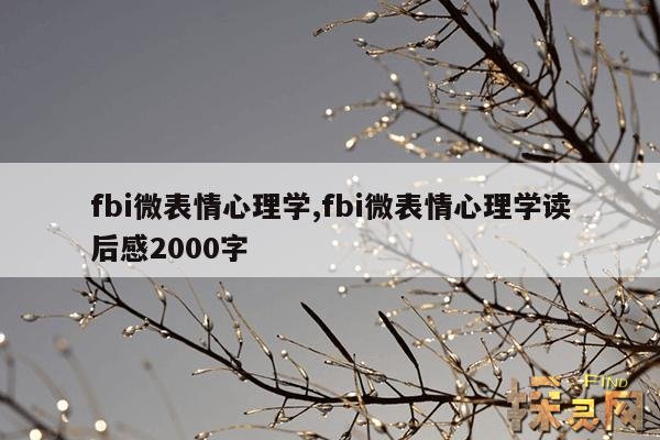 fbi微表情心理学,fbi微表情心理学读后感2000字