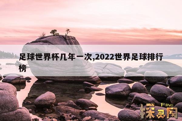 足球世界杯几年一次,2022世界足球排行榜