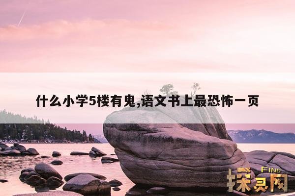 什么小学5楼有鬼,语文书上最恐怖一页