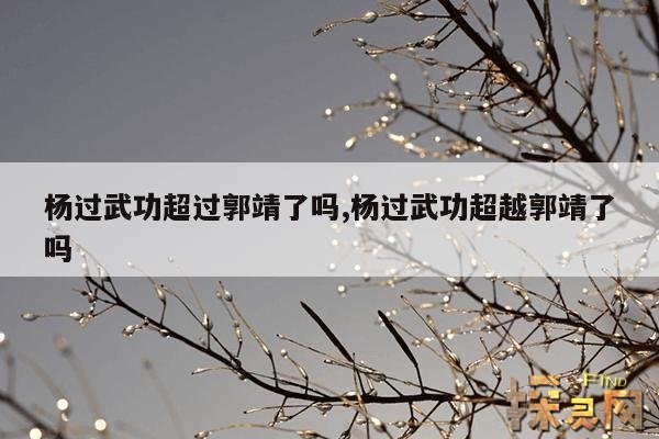 杨过武功超过郭靖了吗?,杨过为什么后期打不过金轮
