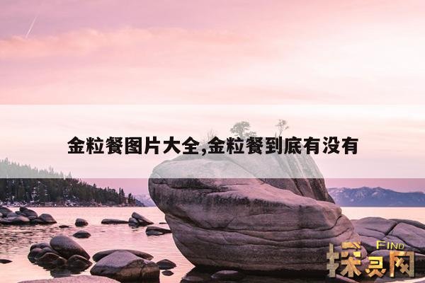 金粒餐图片大全,金粒餐到底有没有