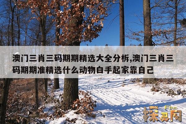 澳门三肖三码期期精选大全分柝,澳门三肖三码期期准精选什么动物白手起家靠自己