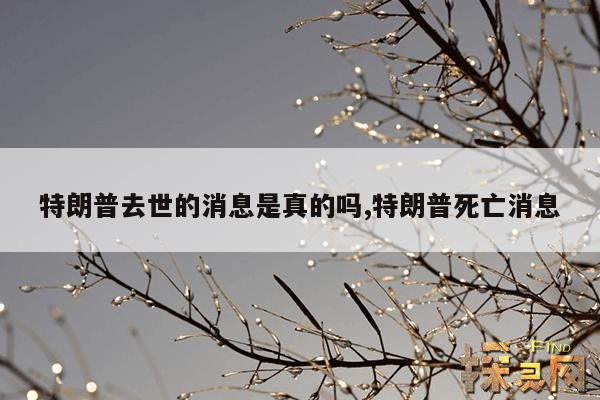 特朗普去世的消息是真的吗,特朗普死亡消息